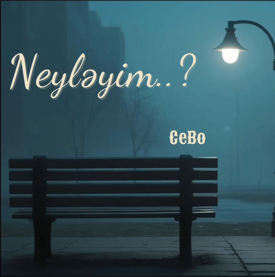 Neyləyim